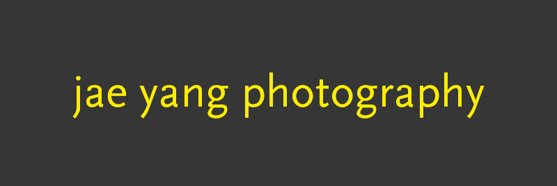 Jae Yang Photography